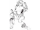  Bondage Dominance Sadism Masochism Sexy 0 3 7 Decal