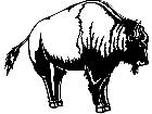  Buffalo 1 3 8 V A 1 Decal