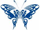  Butterflies Fantastic 0 3 7 Decal