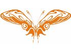  Butterflies Fantastic 0 7 5 Decal