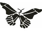  Butterfly 0 1 Decal