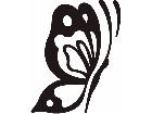  Butterfly 0 2 Decal