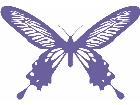  Butterfly 0 7 Decal