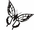  Butterfly 1 1 Decal