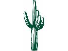  Cactus Decal