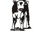  Calf 1 C U 1 Decal