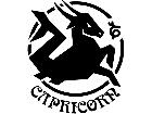  Capricorn 1 0 A S 1 Decal