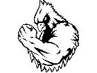  Cardinal Flex Bicep M B 1 Decal