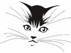  Cat Face 1 5 7 Decal