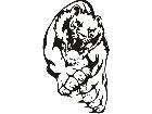  Cats Big Lions Tigers Panthers 0 2 6 Decal
