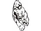  Cats Big Lions Tigers Panthers 0 3 3 Decal