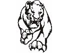  Cats Big Lions Tigers Panthers 0 3 6 Decal