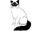  Cats Birman 1 3 1 V A 1 Decal