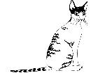  Cats Cornish Rex 1 3 1 V A 1 Decal