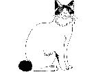  Cats Japanese Bobtail 1 3 1 V A 1 Decal