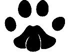  Cats Mountain Lion Paw Print 1 3 2 V A 1 Decal