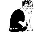  Cats Scottish Fold 1 3 1 V A 1 Decal