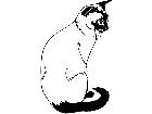  Cats Siamese 1 1 3 1 V A 1 Decal