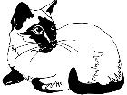  Cats Siamese 2 1 3 1 V A 1 Decal