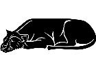  Cats Sleeping Lion 1 3 2 V A 1 Decal