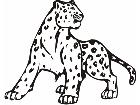  Cheetah Leopard Animal Wild 0 0 7a Decal