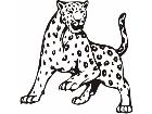  Cheetah Leopard Animal Wild 0 1 5a Decal
