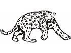  Cheetah Leopard Animal Wild 0 1 7a Decal