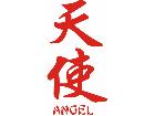  Chinese Writing Angel Decal