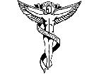  Chiropractic Decal