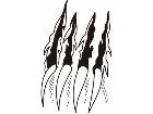  Claw Through 2 6 8 Decal