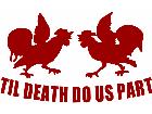  Cock Fight Till Death Decal