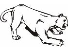  Cougar Animal Wild 0 0 8a Decal