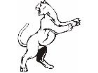  Cougar Animal Wild 0 0 9a Decal