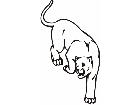 Cougar Animal Wild 0 1 6a Decal