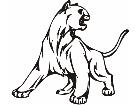  Cougar Animal Wild 0 2 8a Decal