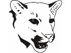  Cougar Head 1 4 1 Decal