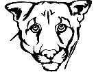  Cougar 1 4 6 V A 1 Decal