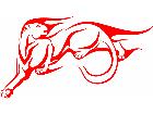  Cougars Flaming Right Decal