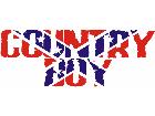  Country Boy Rebel Rough C L 1 Decal