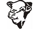  Cow Head C U 1 Decal