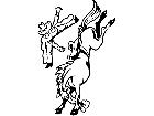  Cowboy Bronco Decal