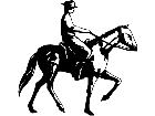  Cowboy Rider Decal