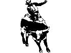  Cowboy Riding Bull Decal