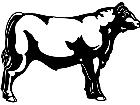  Cows Angus 1 3 3 V A 1 Decal