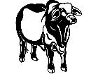  Cows Brahman 1 3 3 V A 1 Decal