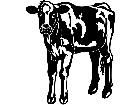  Cows Holstein 5 1 3 3 V A 1 Decal