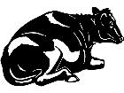  Cows Holstein Calf 2 1 3 3 V A 1 Decal