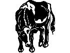  Cows Holstein Calf 1 3 3 V A 1 Decal