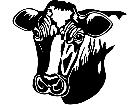  Cows Holstein Head 1 3 3 V A 1 Decal