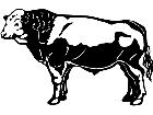  Cows Simmenthal 1 3 3 V A 1 Decal